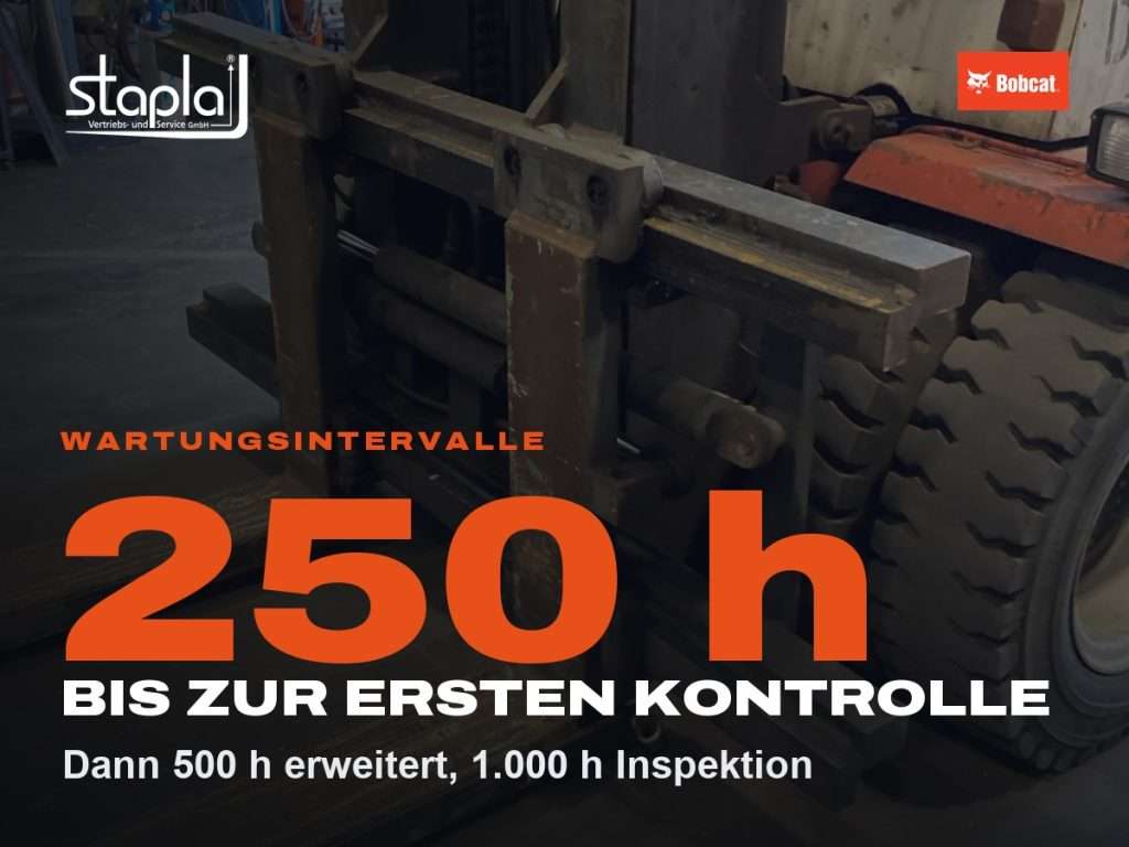 stapla Grafik: 250 h, Dann 500 h erweitert, 1.000 h Inspektion
